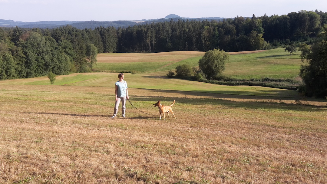 Achtsamkeit mit Hund | Freiburg | Anna Meissner