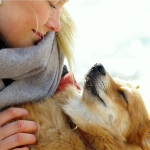 Hand auf’s Hundeherz – Eine Achtsamkeitsübung für Hund und Mensch