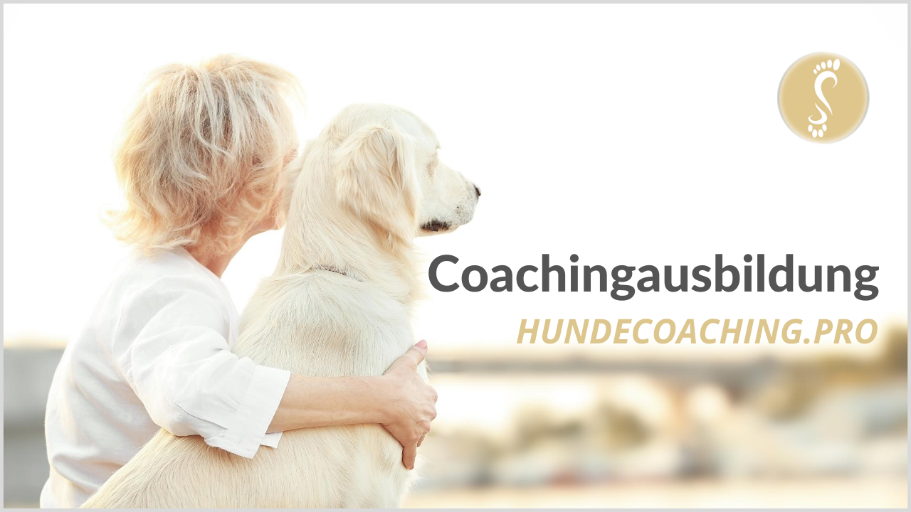 Coachingausbildung | Hundetrainer | Freiburg