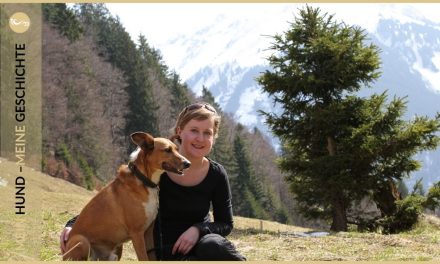 Mein Traum: Eine Alpenüberquerung mit Hund