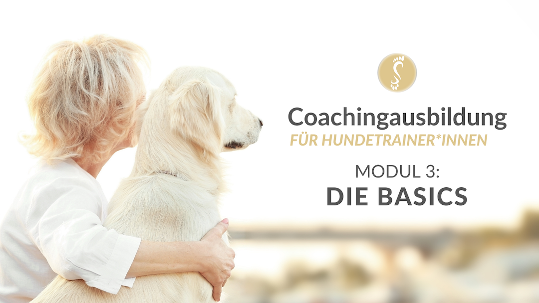 Coachingausbildung | Hundetrainer